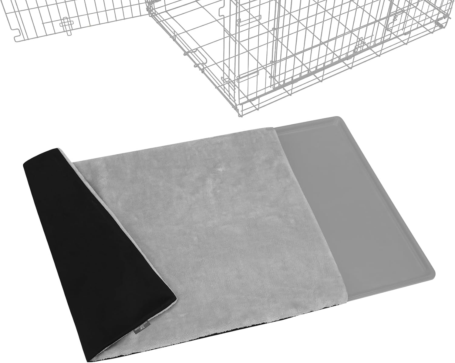Explore Land pad (B0DD3VW3BG)